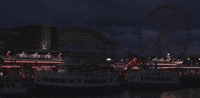 chicago illinois GIF