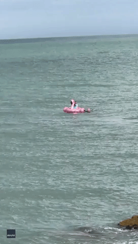 Men Save Girls Washed Out Along Dublin Coast on Inflatable Flamingo