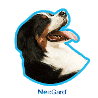 Sticker by Nexgard Brasil