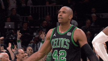 Excited Al Horford GIF by Boston Celtics