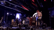 bbc radio 1 big weekend 2017 GIF by BBC Radio 1’s Big Weekend