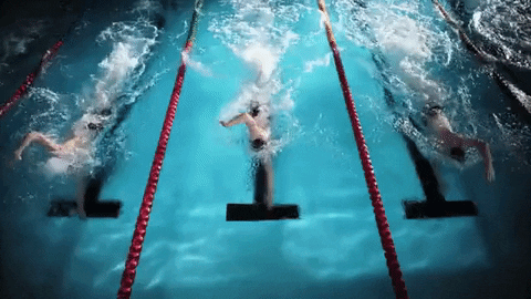 Pool Swimming GIF