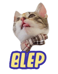 Cat Sticker