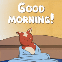 Cat Coffee GIF by Kitaro World