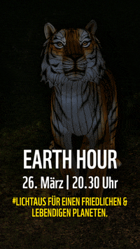 Earth Hour Tiger GIF by WWF Deutschland