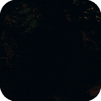 Earth Planet GIF by WWF Deutschland