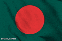 Bangladesh Flag GIF