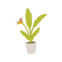 Bird Of Paradise Plant Sticker by Elowyn