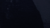 sasquatch GIF by Ice Cube