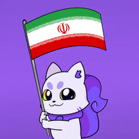 Flag Iran GIF by Lucky Kat Studios
