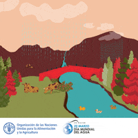Food And Agriculture Organization Water GIF by FAO