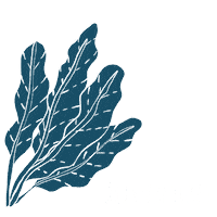 Plants Vegetables Sticker by Juvenes