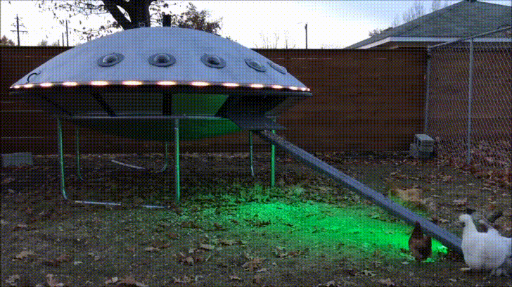 leader GIF