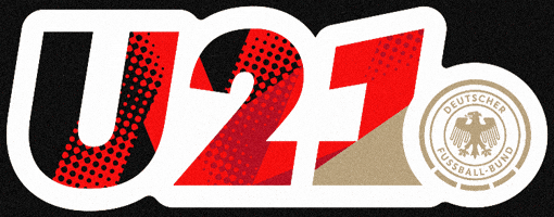 U21 GIF by DFB