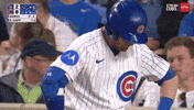 Chicago Cubs Baseball GIF