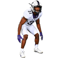 georgia safety Sticker by TCU Football