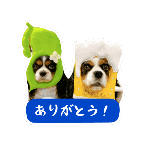 Cavalierkingcharlesspaniel Sticker