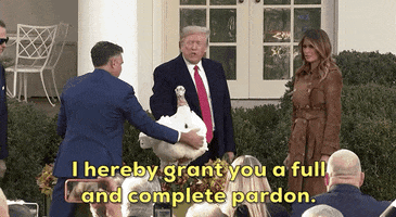 Donald Trump Thanksgiving GIF