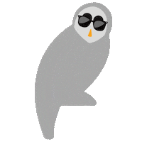 Owl Canberra Sticker by ACT Government