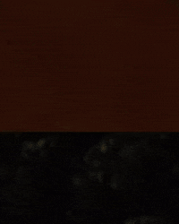 CelesteModels clifton celeste models celeste mgmt celeste model management GIF