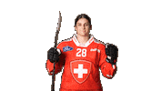 Celebrate National Team Sticker by Swiss Ice Hockey
