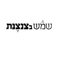 Shemesh Sticker by Noamhorev