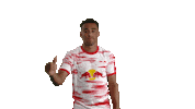 I Dont Like Thumbs Down Sticker by RB Leipzig