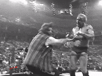 wwe sports wwe wrestling summerslam GIF