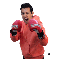 Lets Go Fight Sticker by Max Amini