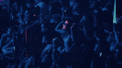 insomniacevents music joy australia concert GIF