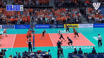 Celebrate Matt Anderson GIF by Volleyball World