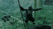 things apes GIF