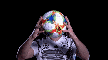 Germany Ball GIF by DFB