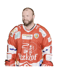 Hockey Sticker by dsc-eishockey
