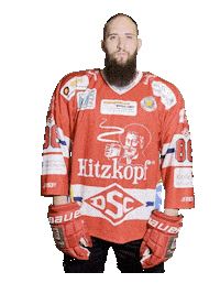 Hockey Sticker by dsc-eishockey