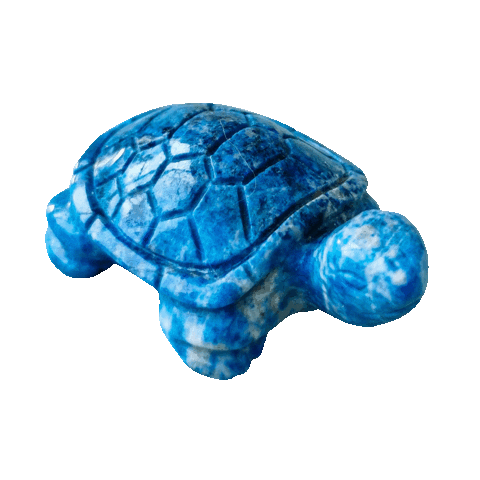 Crystal Turtle Sticker by Lauri Giepmans