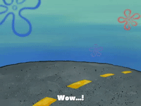 season 4 krusty towers GIF by SpongeBob SquarePants