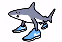 Dance Shark GIF