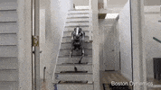 GIF by The Telegraph