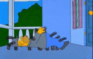 homer simpson GIF