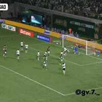 Palmeiras GIF