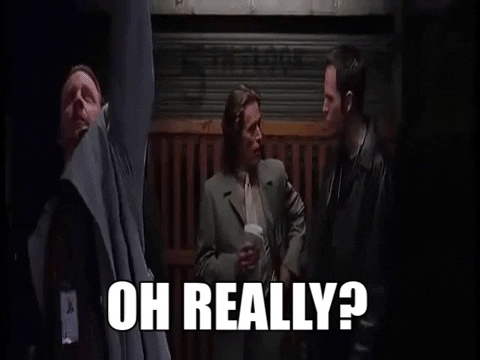 OrangeHatReviews giphygifmaker really oh really cocky GIF