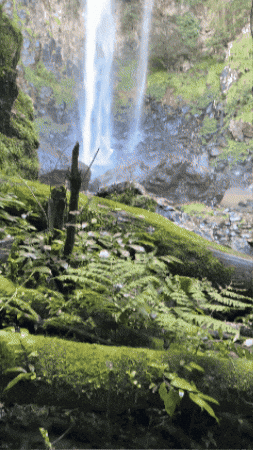 Waterfalls GIF by Travel Agent Achievers