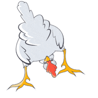 Fly Chicken Sticker by octocog
