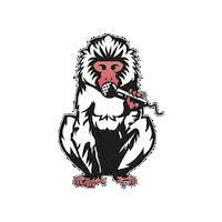 Drinknoevil Sticker by Snow Monkey