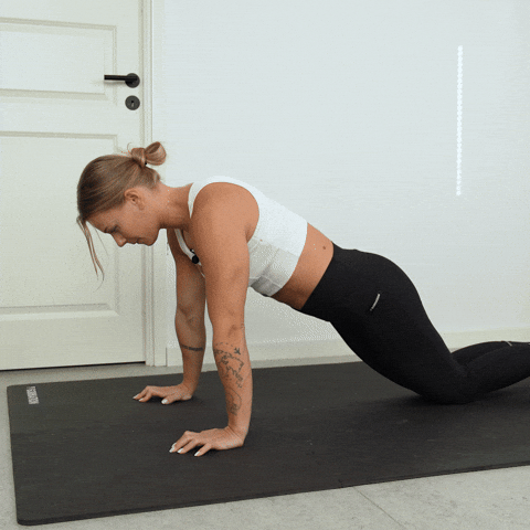 Fitness Workout GIF