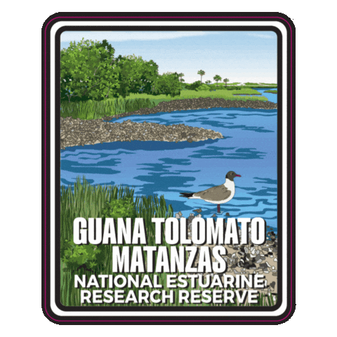 Aquatic Preserve Sticker by FLDEP