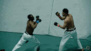 karatecombat sports sport mma fighter GIF