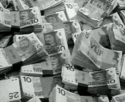 Money Cash GIF by Beeld en Geluid
