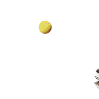 Illumination Entertainment Pets Movie Sticker by The Secret Life Of Pets